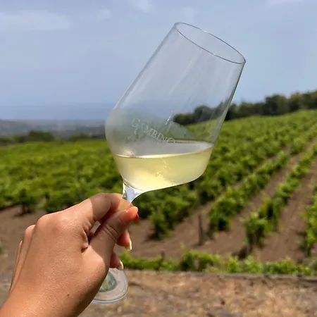 Etna Pool Catania-sea View 4* Mascalucia